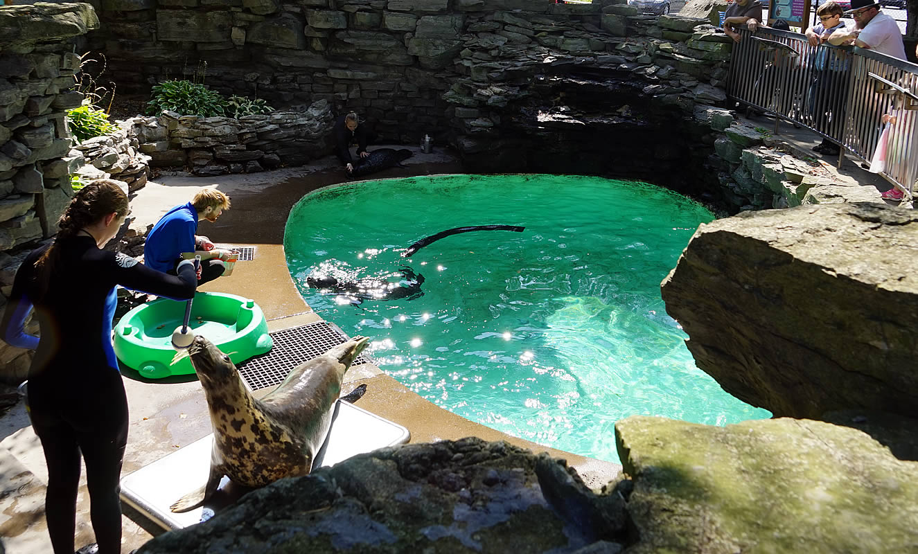 Aquarium of Niagara Falls Outdoor Display