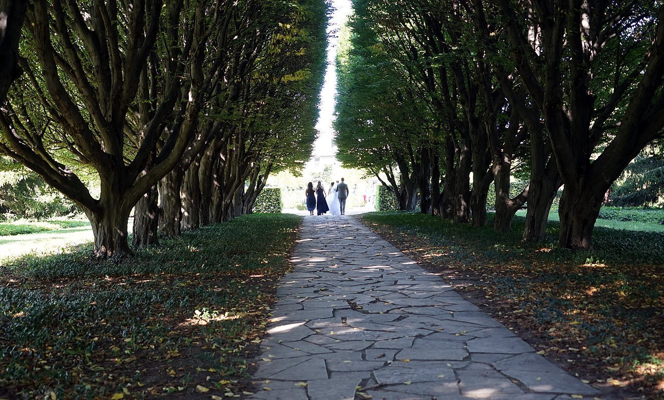 Botanical Gardens Wedding