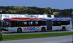 Wego Bus at Niagara Falls